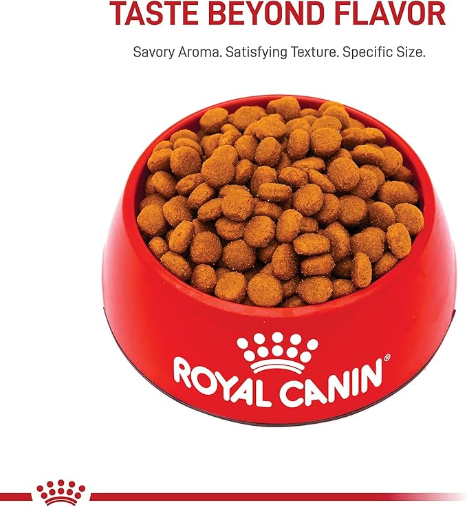 Royal Canin Size Health Nutrition Large Adult Dry Dog Food, 4 lb Bag