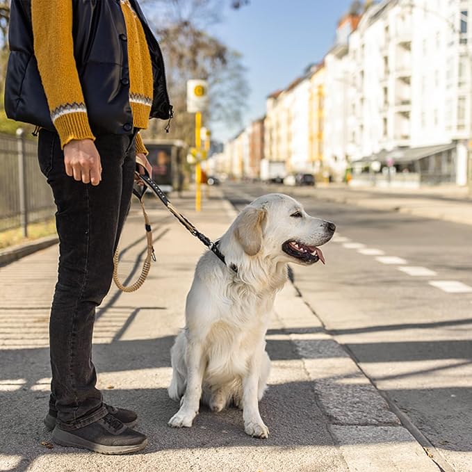 Heavy Duty Tactical Dog Leash, 4-6FT Shock Absorbing Tactical Leash with 2 Padded Handles, Metal Carabiner Clip,Car Seatbelt, Reflective Heavy Duty Leashes for Medium Large Dogs (Brown)