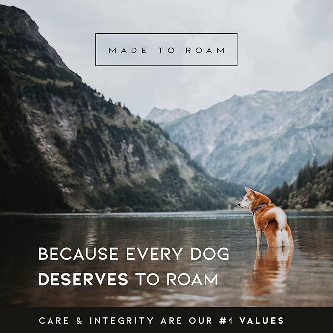 Made to ROAM Premium Explorer Control Collar - Adjustable Heavy Duty Nylon Dog Collar with Quick-Release Metal Buckle and Handle (Florida Seaside, Control Size 3)