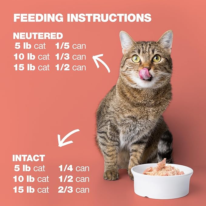 Natural Code - Wet Cat Food, Limited Ingredient Cat Food, High-Protein, Non-GMO, No Artificial Additives, Made in Italy, Chicken & Salmon in Broth for Adult Cats (3 oz, 24 Pack)