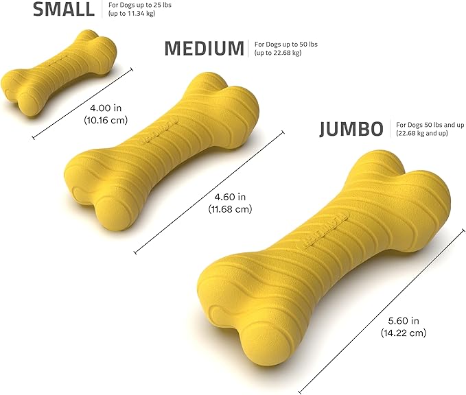 Playology Dog Toys | Dual Layer Bone Durable Chew Toy Bone for Dogs, Value 2-Pack | Small Apple Cider Scented Toy - Limited Edition Fall Scent | Easy to Clean and Made from Non Toxic Materials