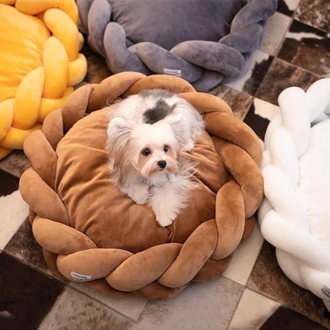 CHEERPALS Weave Cat Bed for Indoor Cats,Cute Pet Bed with Washable Cushion Fluffy Kitty Bed for Small Dog(Eggshell Yellow)