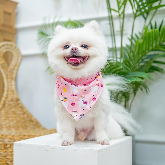 PUPTECK Adjustable Dog Harness Collar and Leash Set, Step in No Pull Pet Harness for Small Medium Dogs Puppy Cats Outdoor Walking, Soft Mesh Padded Reflective Vest Harnesses, Light Pink Alpaca, S