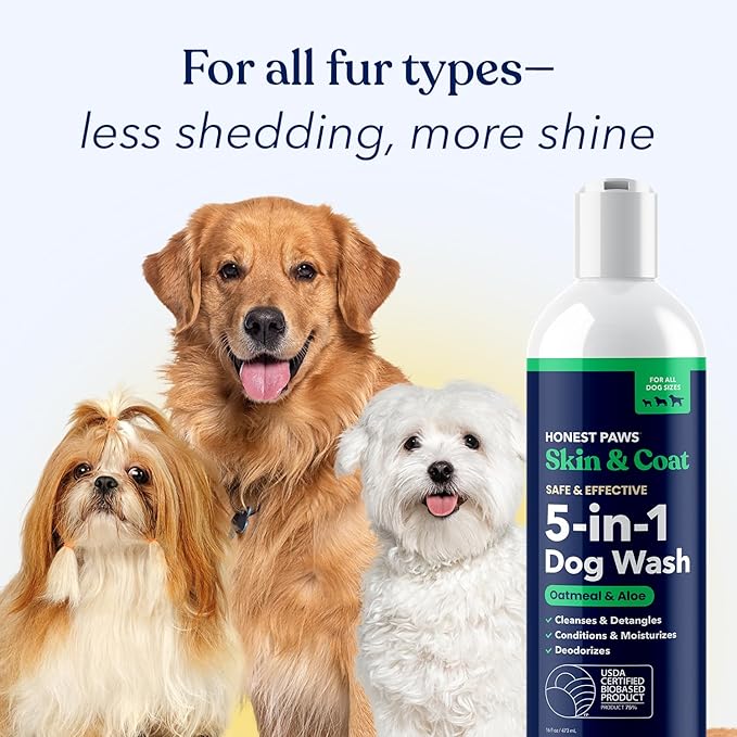 Honest Paws Dog Shampoo and Conditioner - Premium Dog Wash for Allergies and Dry, Itchy, Moisturizing for Sensitive Skin - Sulfate Free, Plant Based, All Natural - Oatmeal & Aloe -16 Fl Oz