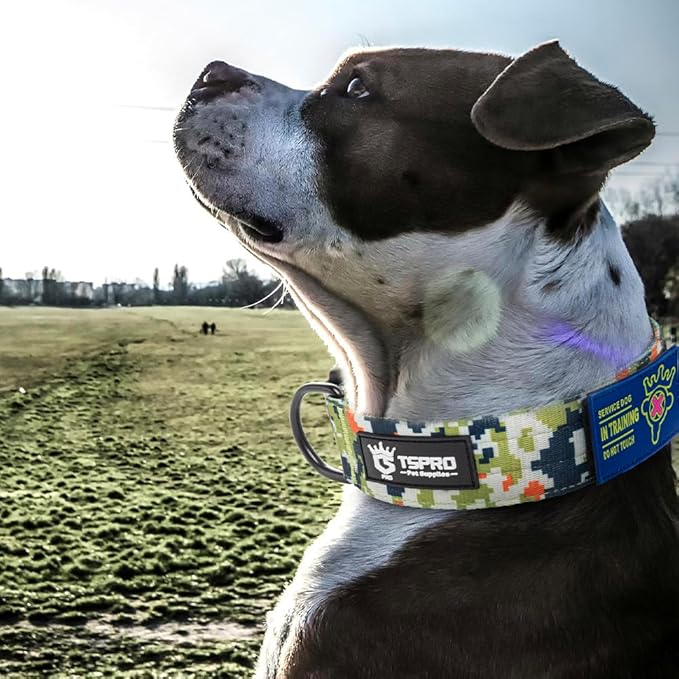 TSPRO Premium Dog Collars Tactical Dog Collar with Patch and Heavy Duty Quick-Release Metal Buckle Durable Thick and Adjustable for Medium to Large Dogs (Camo Green L)