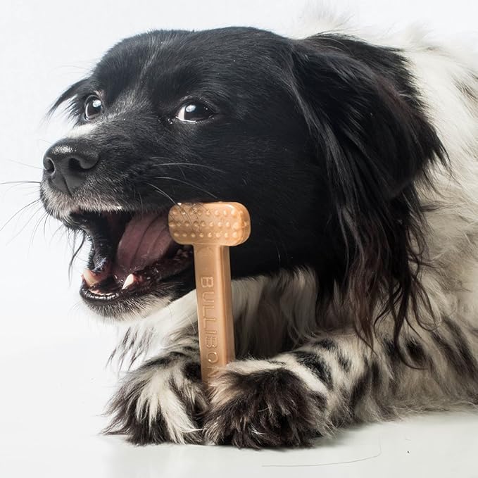 Bullibone Nylon Dog Chew Toy for Aggressive Chewers - Dental Hygiene Bone with Bacon Flavor, Durable Tough Chew Toys for Small Dogs, Indestructible Dog Bone - Single