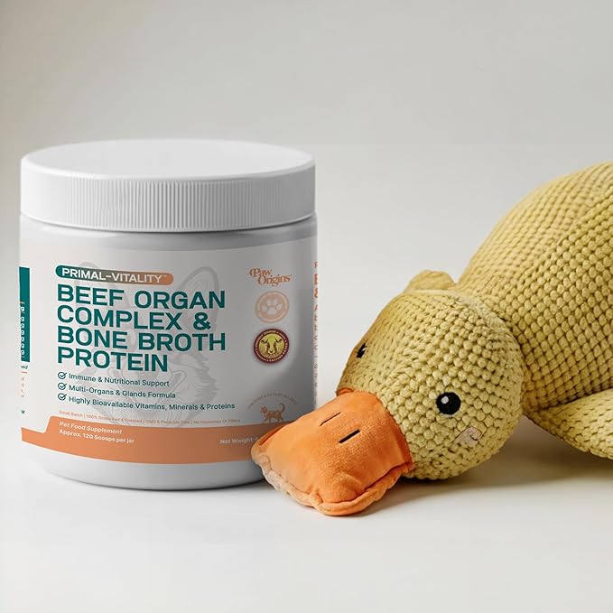 PawOrigins® Primal-Vitality™ Beef Organ Complex with Yellow Duck Toy – Grass-Fed, Pasture-Raised Beef Liver, Heart, Kidney, Pancreas, Spleen & Bone Broth Powder for Dogs – Joint & Vitality Support