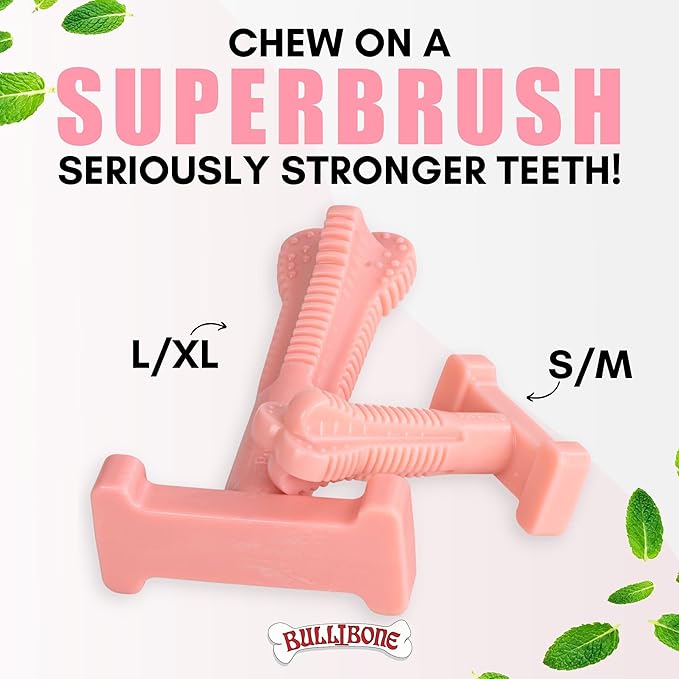 Bullibone SuperBrush: Dog Teeth Cleaning Brushing Toothbrush Stick - Long Lasting Nylon Pink Peppermint Chew Toy for Oral Care and Dental Health