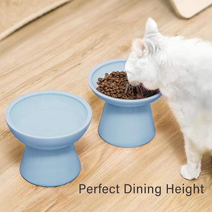 2 Elevated Ceramic Cat Bowls Extra Wide for Food & Water – Whisker Fatigue Shallow Food Dish, Lead & Cadmium-Free, Raised Height for Cats, Blue