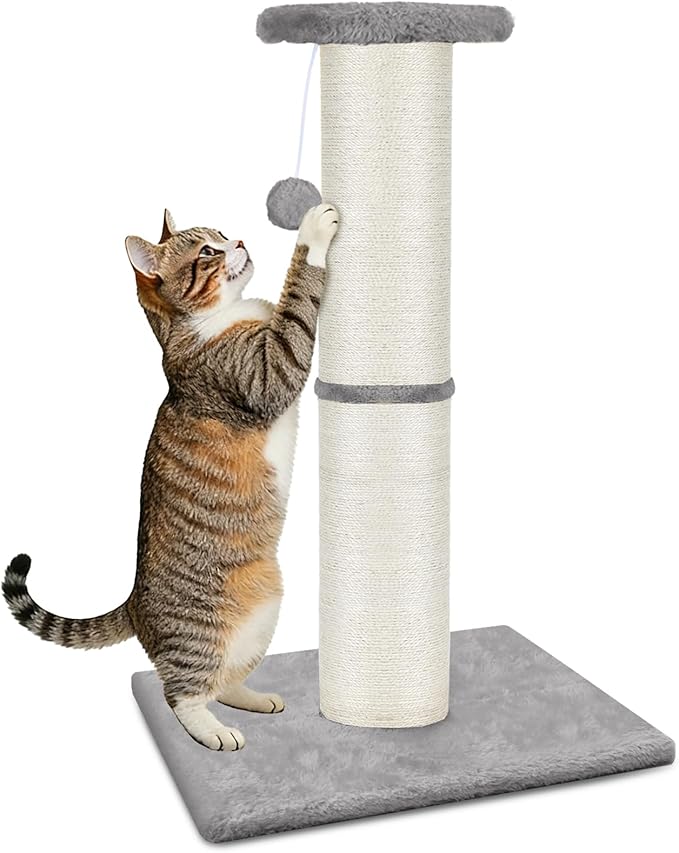 PAWSCRAT Cat Scratching Post 32" Tall, Large Diameter Natural Sisal Cat Scratch Post with Dangling Ball, Scratch-Resistant and Durable for Indoor Cats, Protect Your Furniture, LightGrey