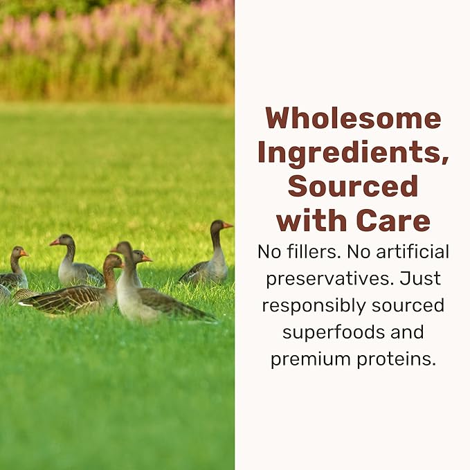 BADLANDS RANCH Superfood Nuggets – Freeze-Dried Raw Dog Treat & Food Topper, Nutrient-Dense Duck & Kale Formula, High Protein, No Artificial Additives, 8oz Bags (4-Pack Bundle)