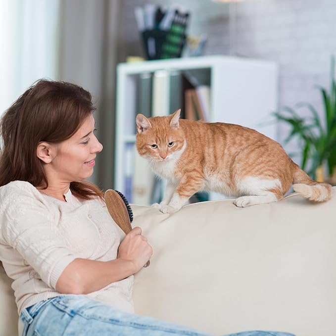 TAKAVU Boar Bristle Cat Hair Brush, Gentle Grooming Brush with Natural Bristles and Wooden Handle for Sensitive Skin, Pet Cleaning Supplies Keeping Your Cat's Fur Hair Coat Healthy and Shiny