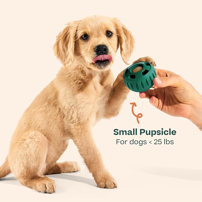 WOOF Pupsicle - Long-Lasting Interactive Dog Toy to Keep Your Pup Busy and Distracted - Safe for Dogs - Low-Mess Design - Dog Toys for Small Dogs 10-25 lbs