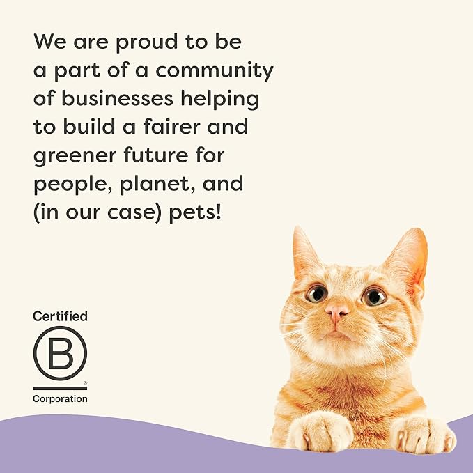 Applaws Vitality Wet Cat Food in Broth, Natural Cat Food with Added Vitamins & Minerals, Grain-Free, Carrageenan Free, Variety Selection in Broth (24 Count, 2.47 oz Cans)