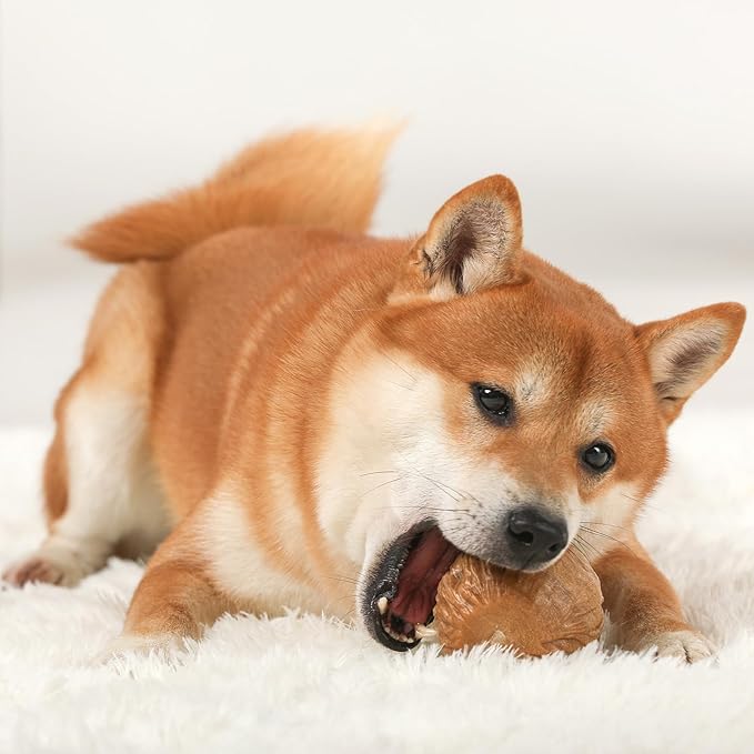 Willjoy 2-Pack Dog Chew Toys for Aggressive Chewers, Indestructible Ball-Shaped Dog Toys with Natural-Looking Grooved Texture, Durable Pine Wood & Tough Nylon, Bacon Flavor for Large Dogs