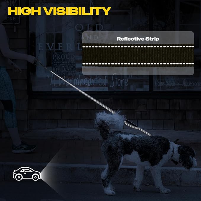 Fida 6 FT Heavy Duty Dog Leash with 2 Comfortable Padded Handles, Traffic Handle & Advanced Easy Snap Hook, Reflective Walking Lead for Large, Medium & Small Breed Dogs, Brown