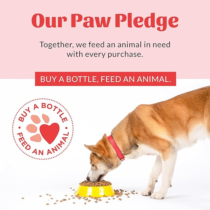 SKOUT'S HONOR Fresher Breath Water Additive for Pets - VOHC Accepted for Tartar Control, Freshens Breath Fast, No Brushing Required : Fresh & Flavorless 16oz