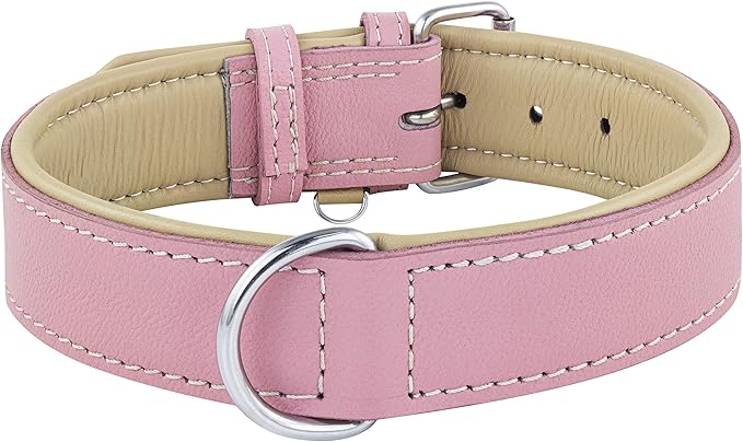 Riparo Pink Dog Collar, Puppy Collar, Leather Dog Collar with Dog Tag Holder, Small Dog Collar for Small Dogs (S: 0.75” Wide for 10”-13.5” Neck, Pink)