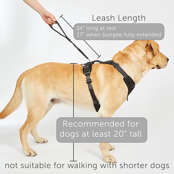 TUG Grab Dog Harness | Integrated Traffic Leash Magnetically Attached for Quick Control (Large/Black)