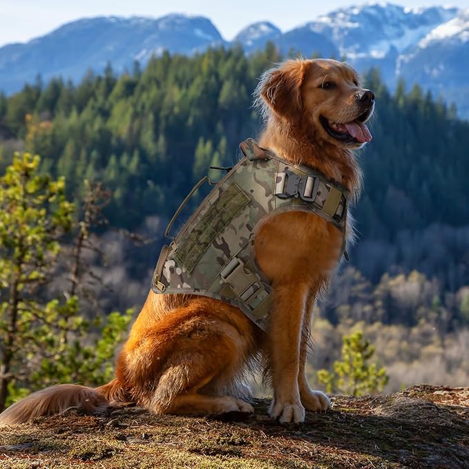 Tactical Dog Backpack Harness for Large Breed Original Design Metal Buckle Vest with Side Bags Pouches for Service Working Training (Camouflage(with 2 Pouches), M)