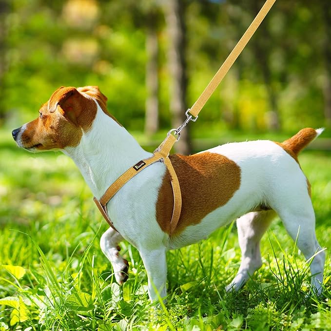 Plutus Pet Cotton Hemp Step in Dog Harness, Sustainable, Lightweight and Escape-Proof, Quick Fit Dog Harness for Puppy Small Medium and Large Dogs, Yellow, L