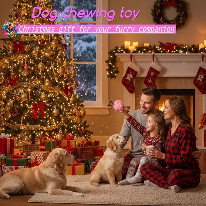 Indestructible Dog Chew Toy, Durable Chew Toy for Small and Medium Dogs, Interactive Bone Toy to Keep Dogs Busy, Teeth Cleaning Toy, Multifunctional Dog Toy for Treats/Cleaning/Chewin