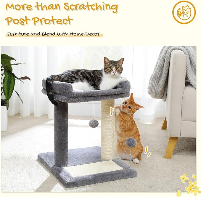 PAWZ Road Cat Scratching Post Bed, Small Cat Tree Tower with Cat Scratcher Pad Large Top Removable Bed with Play Ball Great for Kittens and Cats