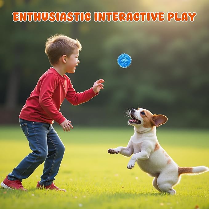 Labeol 2.6” Heavy Duty Squeaky Balls for Dogs 6 Pack Puppy Chew Toys for Teething TPR Fetch Spike Dog Balls Dog Chew Toys for Small and Mideum Breed