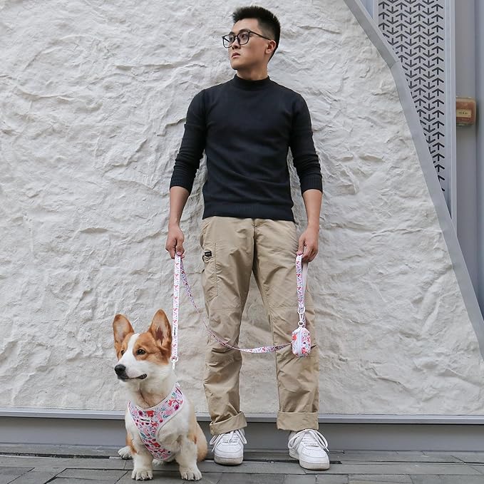 Dinosaur Printed Dog Harness with D-Ring Leash Clip Set,Adjustable Soft Padded and Cotton Fabric Pet Vest Harnesses for Medium Size Dog (White, Medium)