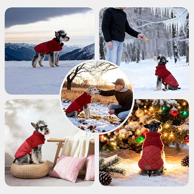 FOFOS Dog Winter Coat, Plush Dog Jacket with Leash Hole, Adjustable Warm Pet Snow Vest for Small Medium Dogs, Red, M