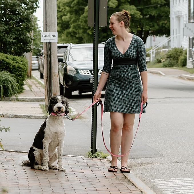 Fida 4 FT Heavy Duty Dog Leash with 2 Comfortable Padded Handles, Traffic Handle & Advanced Easy Snap Hook, Reflective Walking Lead for Large, Medium & Small Breed Dogs, Pink