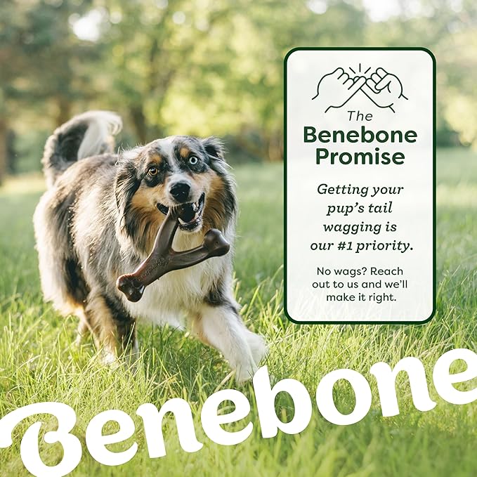 Benebone 4-Pack Ball/Bone/Bacon Wishbone/Fishbone Medium