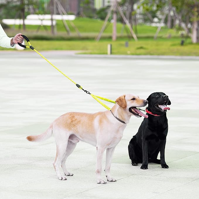 iYoShop Dual Dog Leash - 360° Swivel, No Tangle Walking Leash with Shock Absorbing Bungee for Two Dogs (Large, 25-150 lbs, Green)