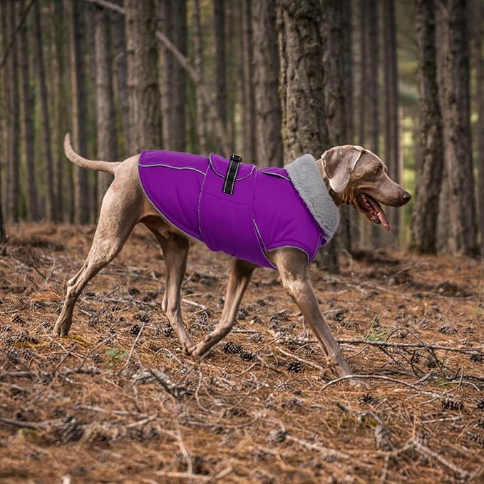 Lelepet Warm Dog Winter Coats for Extra Large Dogs Waterproof Dog Jacket Reflective Pet Fleece Vest Windproof Cold Weather Coats with Adjustable Buckle & Leash Hole, Purple, XXXL