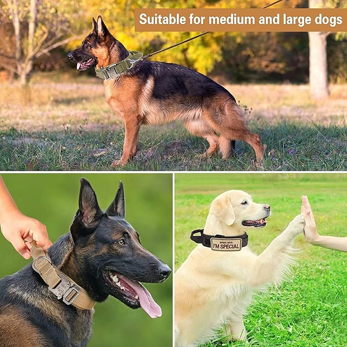 Tactical Dog Collar and Leash Set Heavy Duty Military Dog Collar with Handle and Metal Buckle for Medium and Large Dogs (Army Green, L)