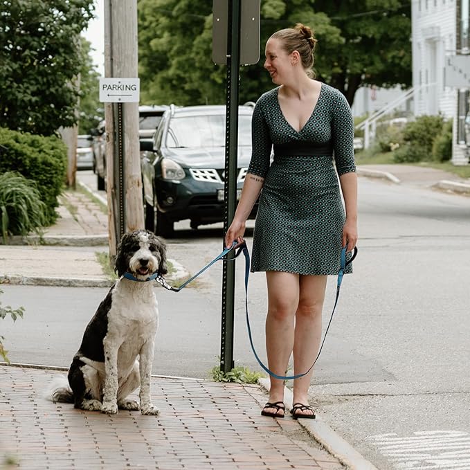 Fida 4 FT Heavy Duty Dog Leash with 2 Comfortable Padded Handles, Traffic Handle & Advanced Easy Snap Hook, Reflective Walking Lead for Large, Medium & Small Breed Dogs, Blue