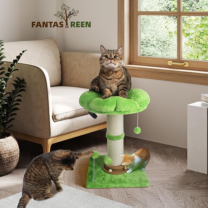 Fantasreen Scratching Post 25 Inch Tall Cat Scratcher for Indoor, Interactive Ball, Small Cat Tree with Bed for Kittens and Large Cats, Green