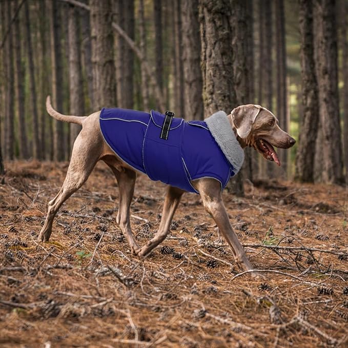 Lelepet Warm Dog Winter Coat Waterproof Dog Jacket with Adjustable Buckle & Leash Hole Reflective Pet Fleece Snowsuit Turtleneck Windproof Cold Weather Coats, Blue, M