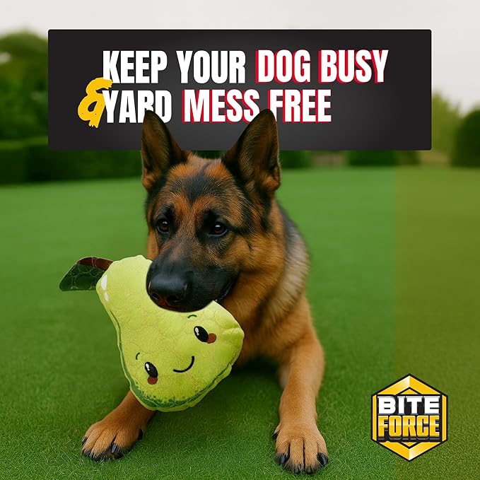 Bite Force -Durable & Strong Dog Toy Mr. Pear with Squeaker, Kevlar-Reinforced for Aggressive Chewers for Small Medium Large Dogs - Green.