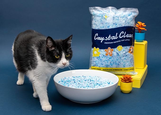 Crystal Clean Premium Fresh Scent Crystal Cat Litter with Odor Control (5X Faster), Best Lightweight, Non Clumping Kitty Litter to Absorb Urine, Dries Solid Waste (4X4.3 Lb Bags)