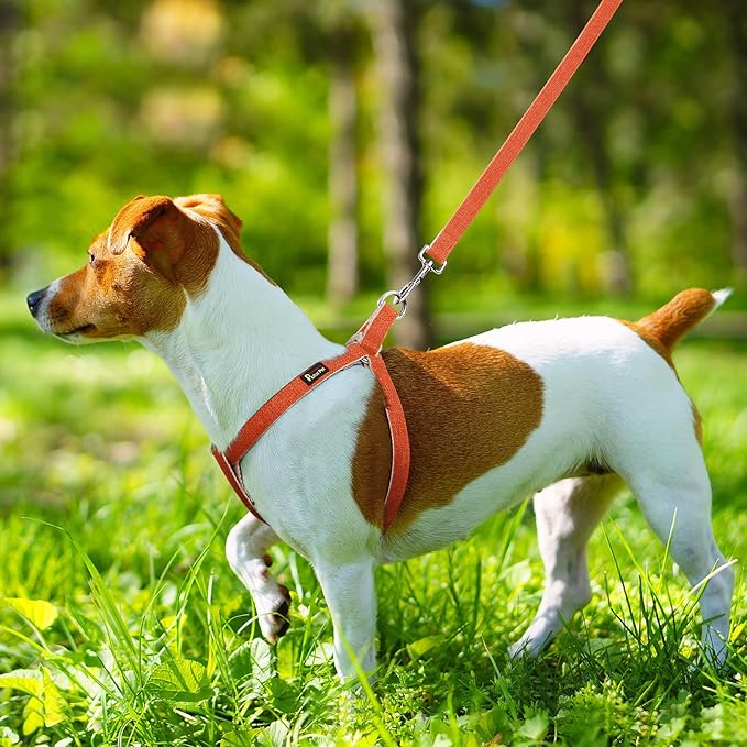 Plutus Pet Cotton Hemp Step in Dog Harness, Sustainable, Lightweight and Escape-Proof, Quick Fit Dog Harness for Puppy Small Medium and Large Dogs, Orange, L