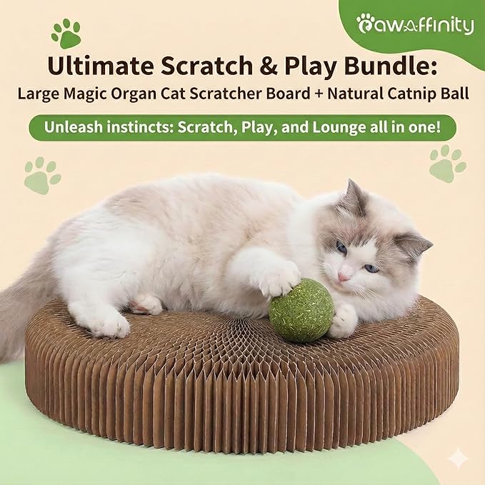 Magic Organ Cat Scratcher Board and Natural Catnip Balls (2-Pack) Bundle - Foldable Interactive Cardboard Toy for Indoor Cats, Exercise & Stress Relief Set