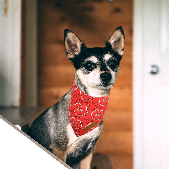Realeaf Valentine's Day Dog Bandanas 2 Pack, Reversible Heart Dog Scarf for Boy and Girl, Premium Durable Fabric, Holiday Love Bandana for Small and Medium Dogs Cats Pets (Small)
