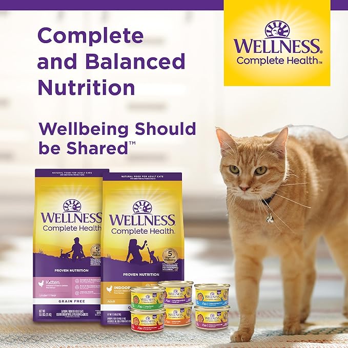 Wellness Complete Health Pate Adult Wet Cat Food, Natural, Protein-Rich, Grain-Free, 3 Ounce, 24 Pack, (Seafood Favorites Variety Pack)