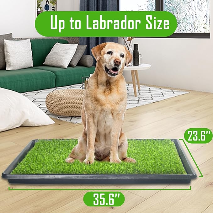 Reusable Dog Loo System with Artificial Grass Turf&Pee Pads&Tray, for Puppy Potty Training is Portable&Easy to Clean,35x23in Large Dog Litter Box Toilet for Indoor/Outdoor use(Large)