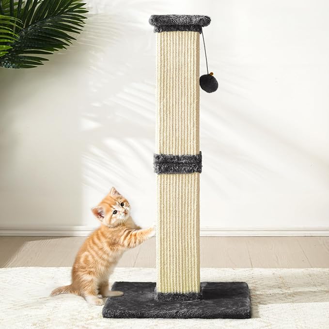 Indoor Cat Scratching Post: 32 in Tall Cat Scratcher with Natural Sisal Rope, Kitty Pet Tower with Sturdy Wood Base and Hanging Ball Toy, Great Gift for Small and Large Kittens, Dark Grey