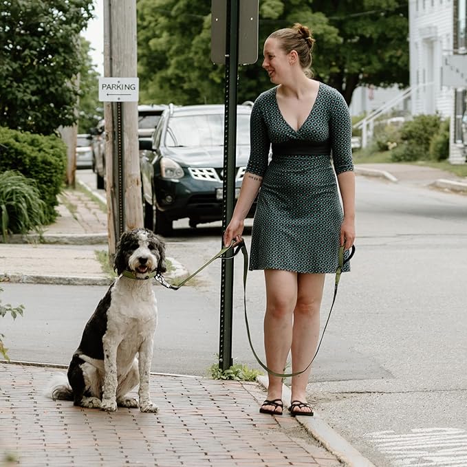 Fida 4 FT Heavy Duty Dog Leash with 2 Comfortable Padded Handles, Traffic Handle & Advanced Easy Snap Hook, Reflective Walking Lead for Large, Medium & Small Breed Dogs, Green