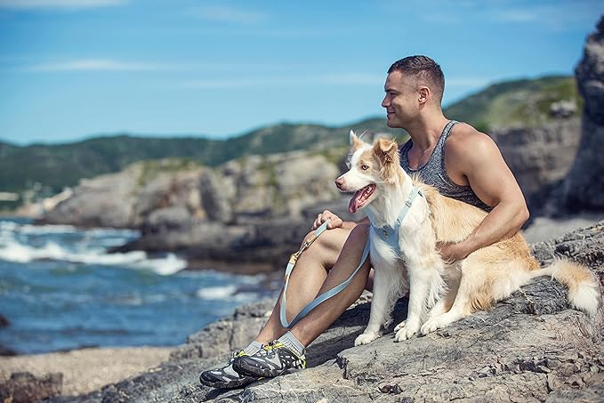 Dog Harness, No Pull Dogs Harness and Multi-Function Leash Set for Medium Dogs Easy Walk Everyday Adjustable Soft Dog Vest Harness Fashionable Dog Accessories Glacier Blue Button-Slim Large