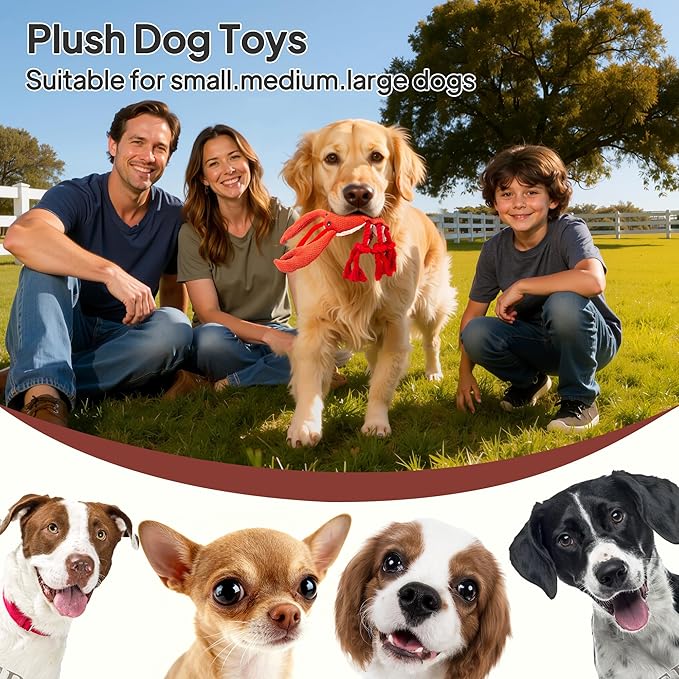 TwoEar Lobster Squeaky Dog Toys, Plush Chew Toy with Tug Rope for Small Medium Large Dogs, Interactive Stuffed Toys Indoor Outdoor Play