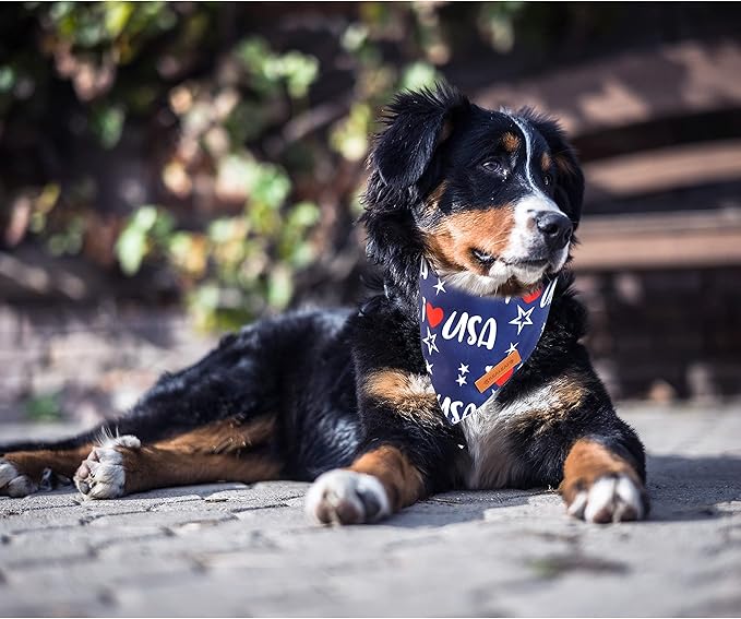Realeaf 4th of July Bandanas 2 Pack, Triangle Reversible American Flag Pet Patriotic Scarf for Boy and Girl, Premium Durable Fabric, USA Bandana for Medium and Large Dogs (Large)